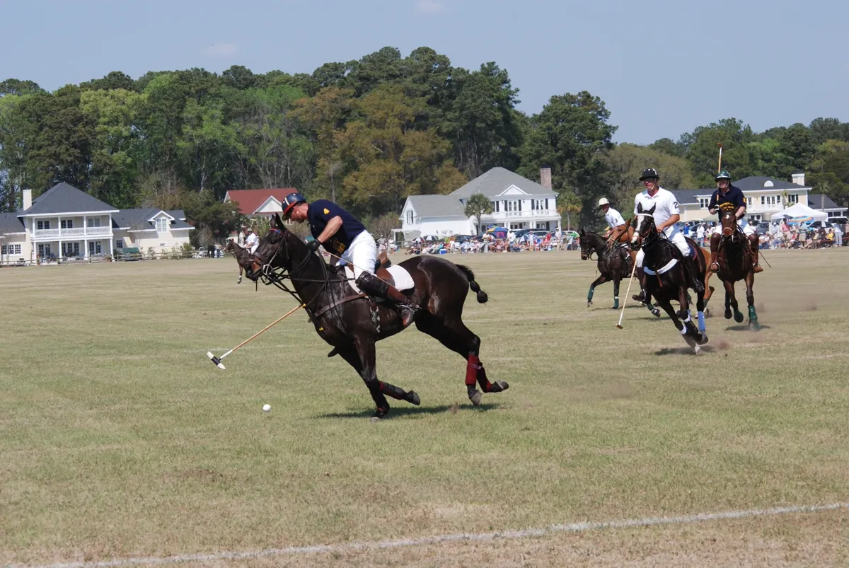 Historic polo action in the South Carolina Lowcountry, part of a 50+ year equestrian tradition
